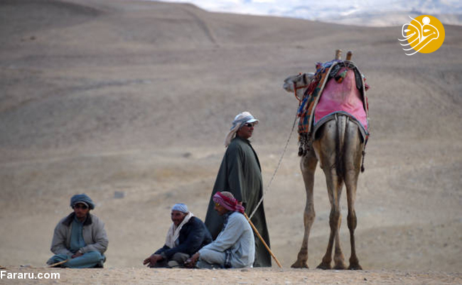 (تصاویر)