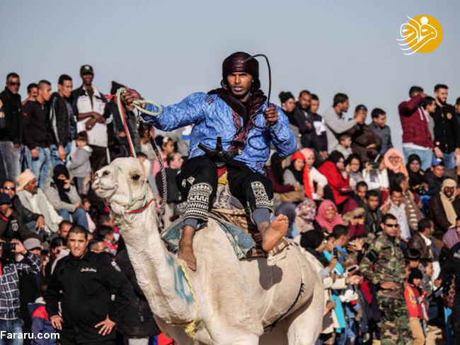 (تصاویر) جشنواره صحرا