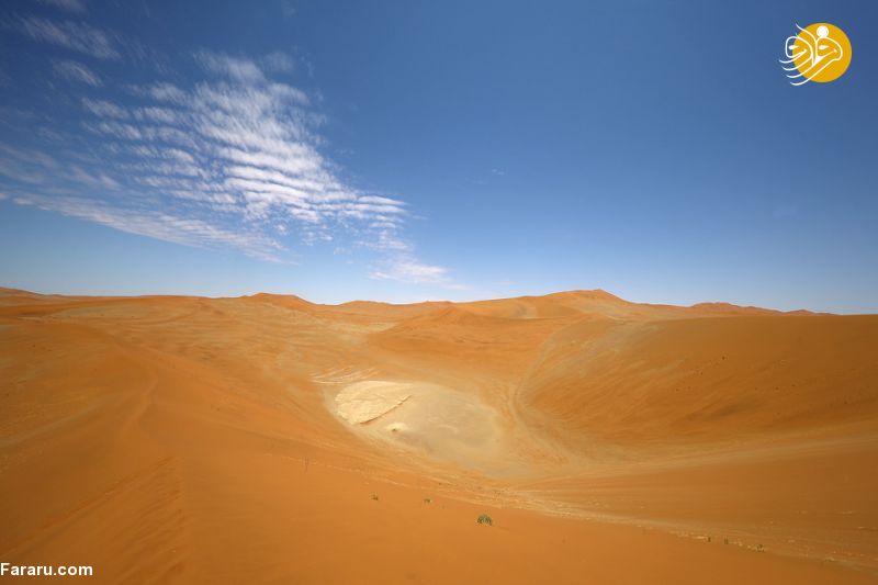 (تصاویر)