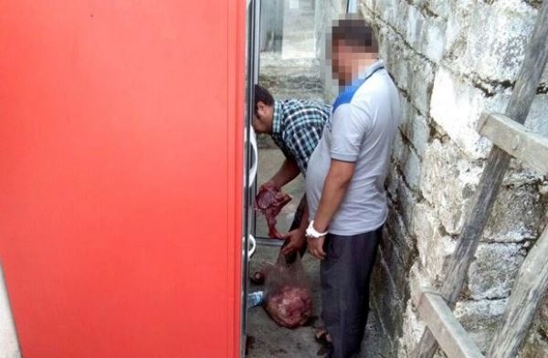  فروش گوشت گوسفند مرده