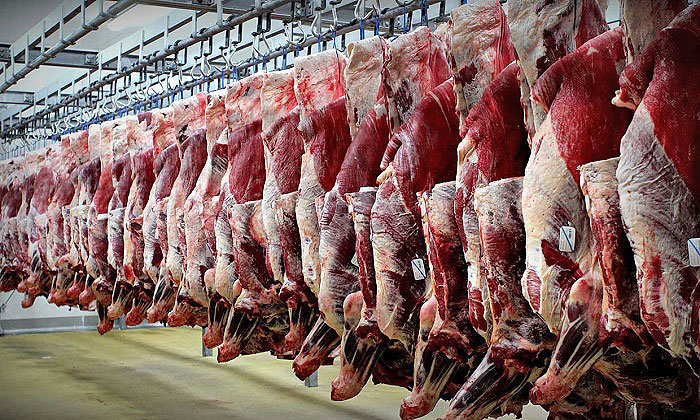 تاثیر جو روانی بر افزایش قیمت گوشت وارداتی تاثیر جو روانی بر افزایش قیمت گوشت وارداتی