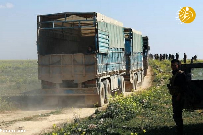 (تصاویر)