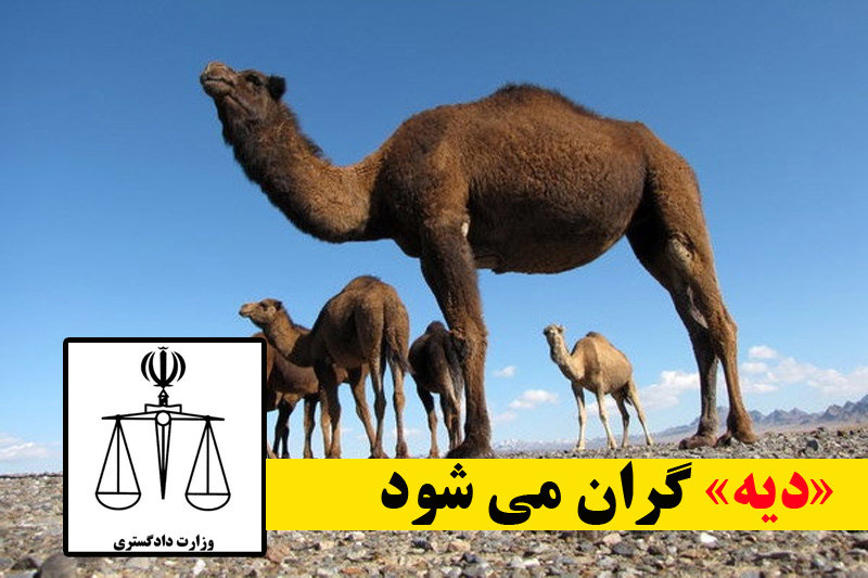 نرخ دیه در سال ۹۸، به یک میلیارد تومان میرسد؟! نرخ دیه در سال ۹۸، به یک میلیارد تومان میرسد؟!