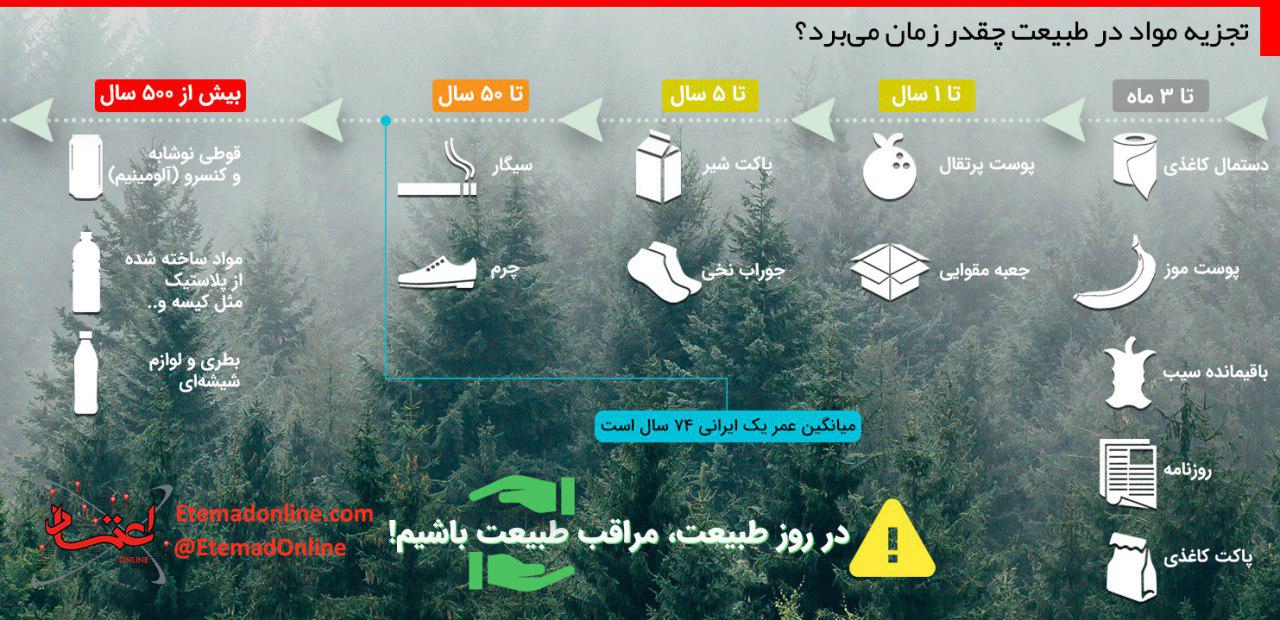 تجزیه مواد در طبیعت چقدر زمان می‌برد؟