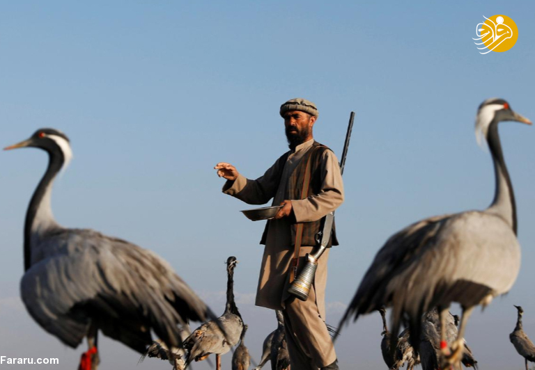 (تصاویر)