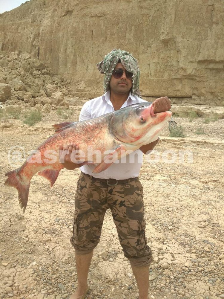 (تصویر) ماهی ۲۰ کیلویی؛ هدیه باران به صیاد سیستان و بلوچستانی