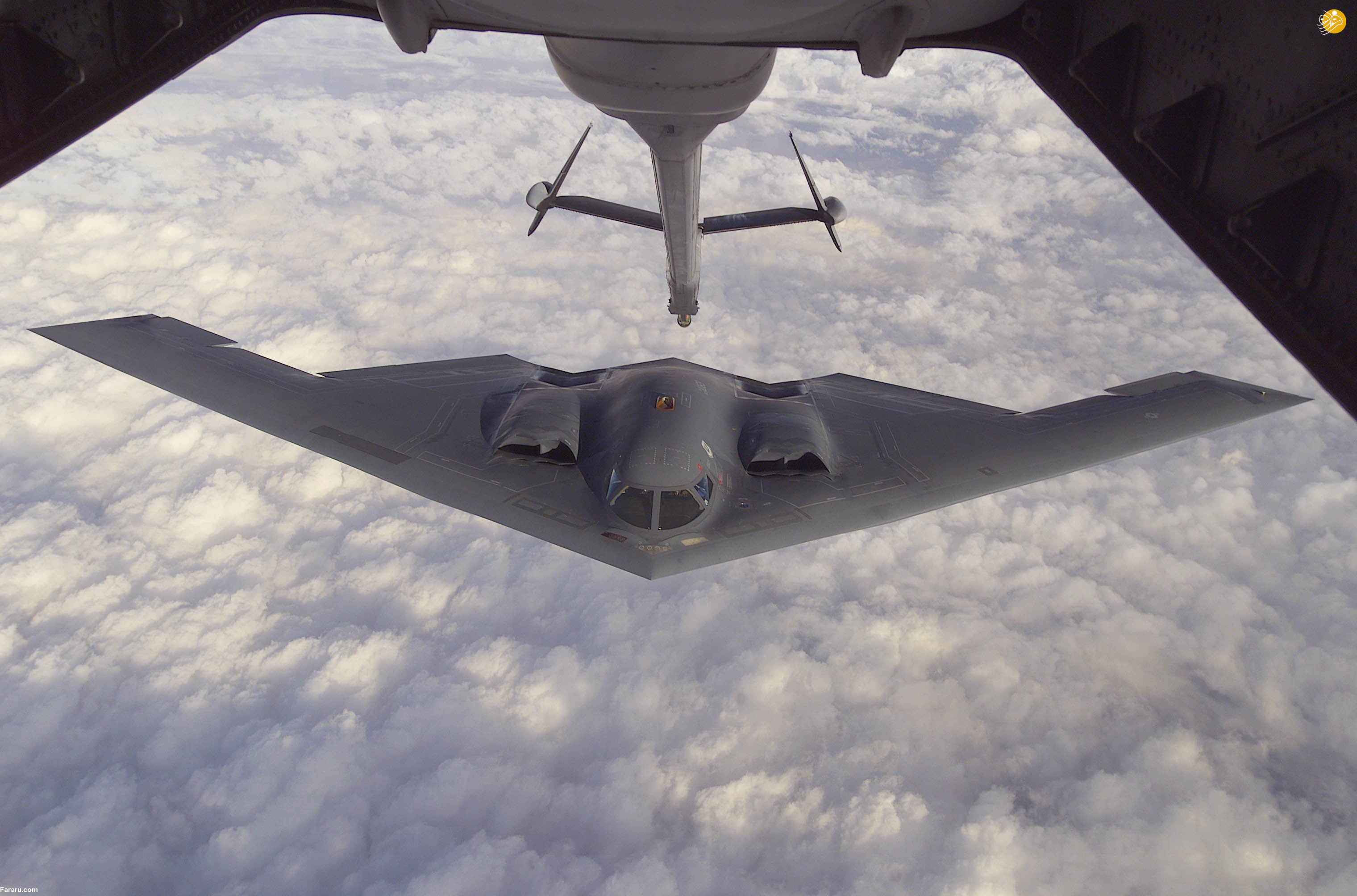 (تصاویر) شباهت یک پرنده با بمب افکن B-2