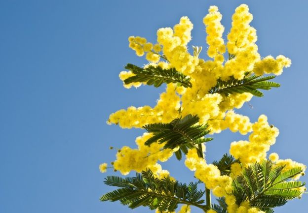 ۱۲ نکته برای درک بهتر چرخهٔ ساعت زیستی