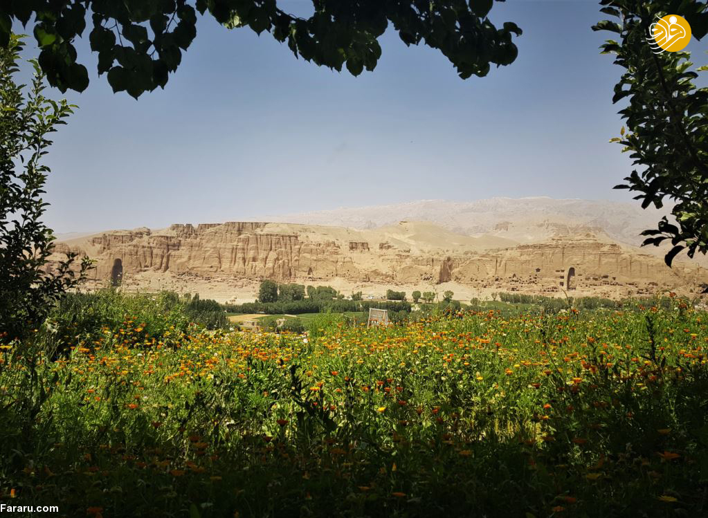 (تصاویر)