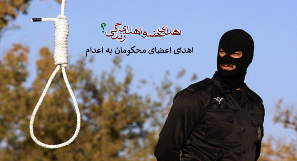 اهدای عضو پای چوبه دار؛ مخالفت صریح رئیس جامعه جراحان اهدای عضو پای چوبه دار؛ مخالفت صریح رئیس جامعه جراحان