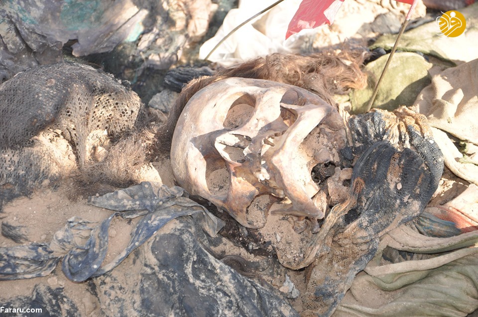 (تصاویر)