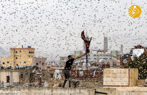 (تصاویر)