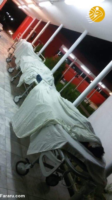 (تصاویر)