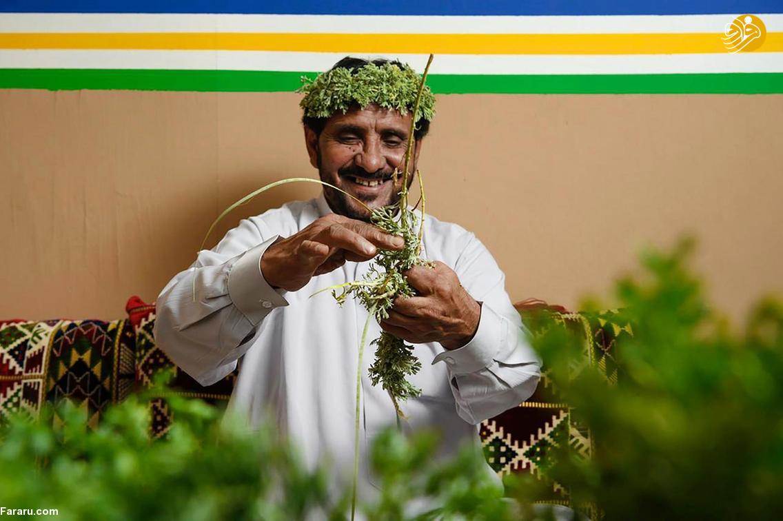 (تصاویر)