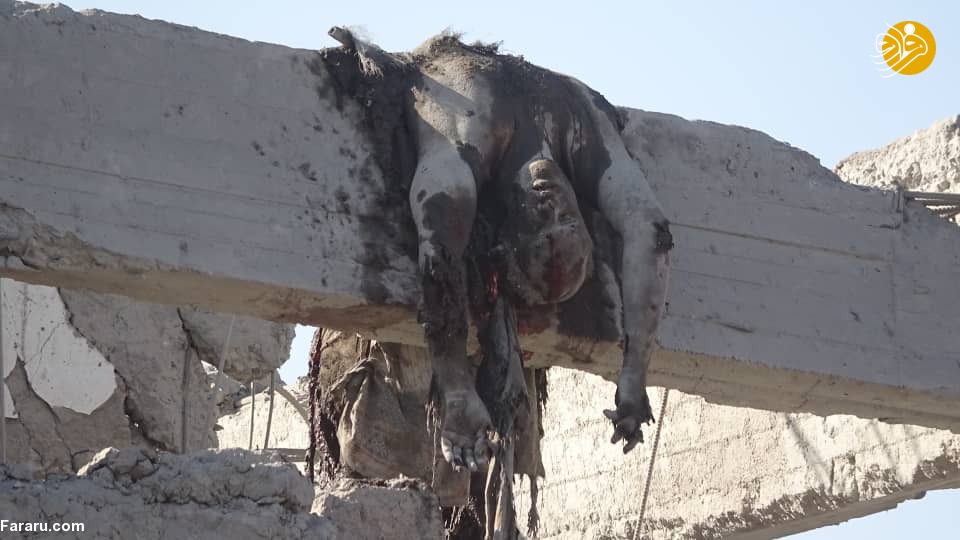 (تصاویر)