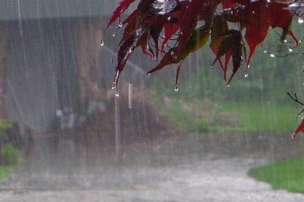 ادامه بارندگی در نوار شمالی کشور تا چهار روز آینده