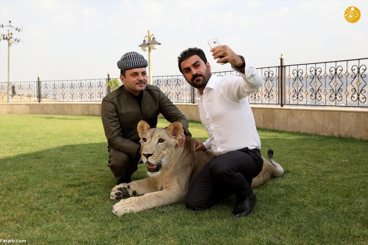 (تصاویر)