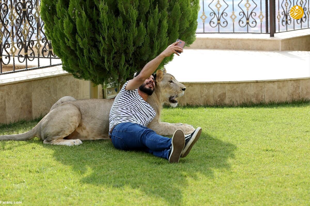 (تصاویر)