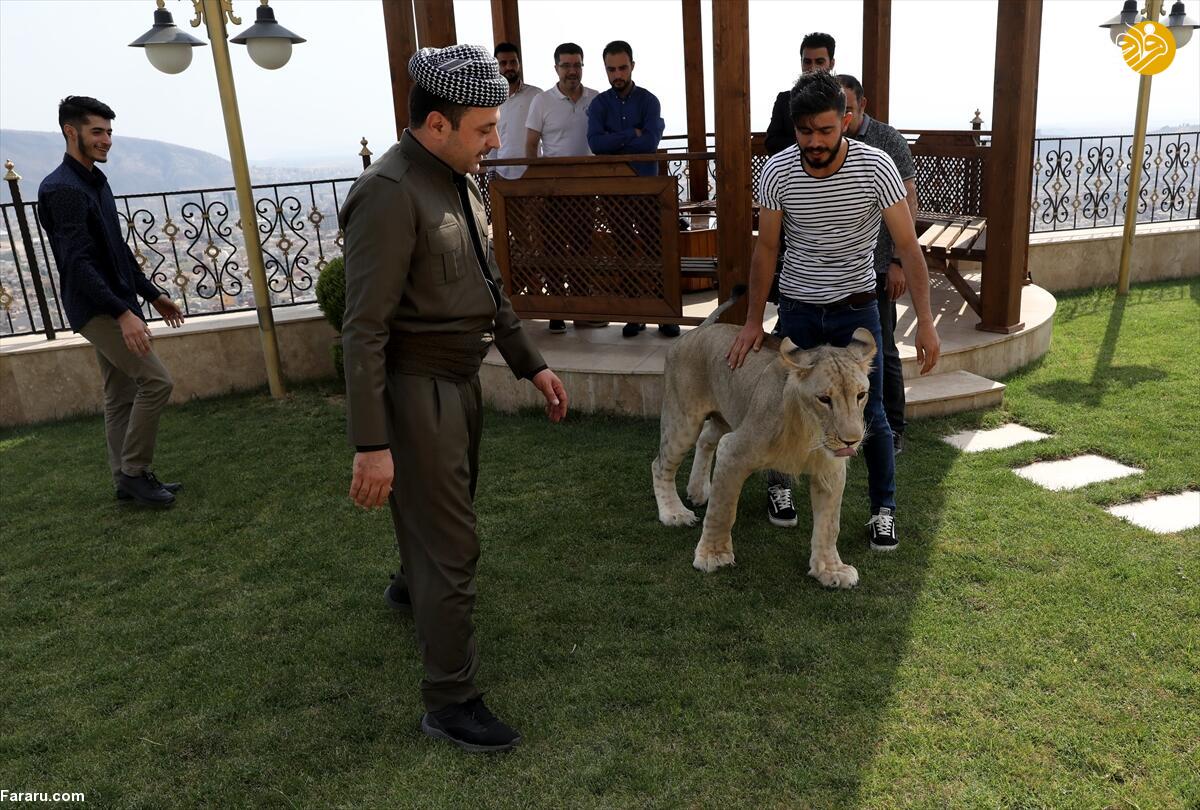 (تصاویر)