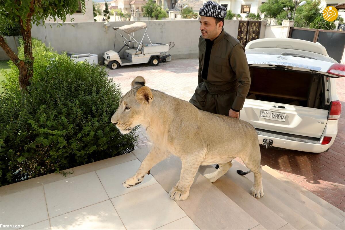 (تصاویر)