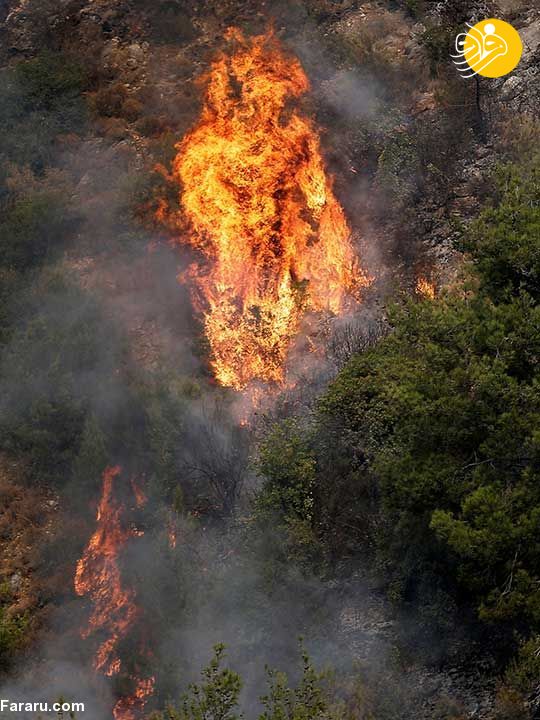 (تصاویر)