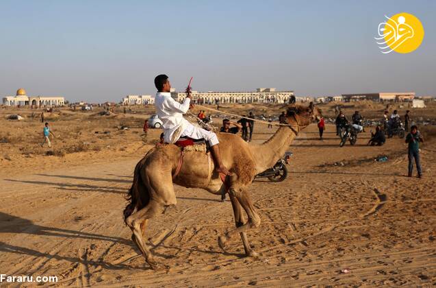 (تصاویر)