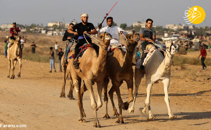 (تصاویر)