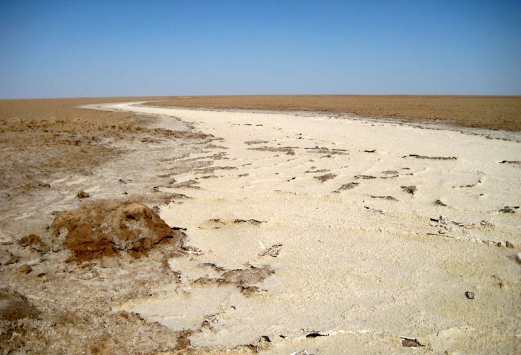 سفر به کویر مصر، روستای زیبای رمل و شب و شتر!