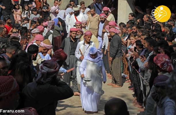 (تصاویر)