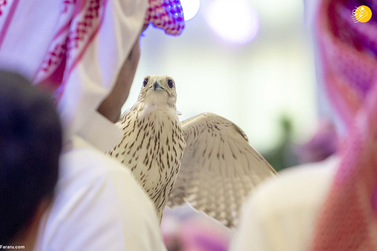 (تصاویر)