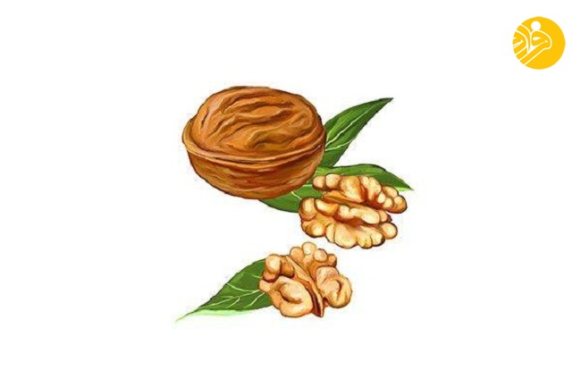 ۱۰ خوراکی مفید برای کاهش خطر ابتلا به بیماری آلزیمر ۱۰ خوراکی مفید برای کاهش خطر ابتلا به بیماری آلزیمر