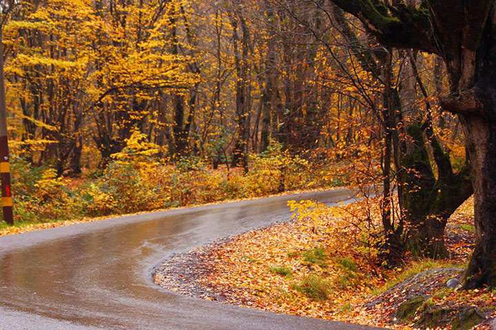 سفر به گرگان؛ گردشگری غیر کلیشهای در شمال سفر به گرگان؛ گردشگری غیر کلیشهای در شمال