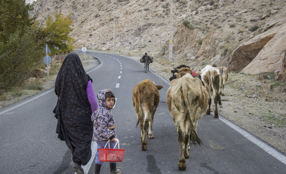 (تصاویر)