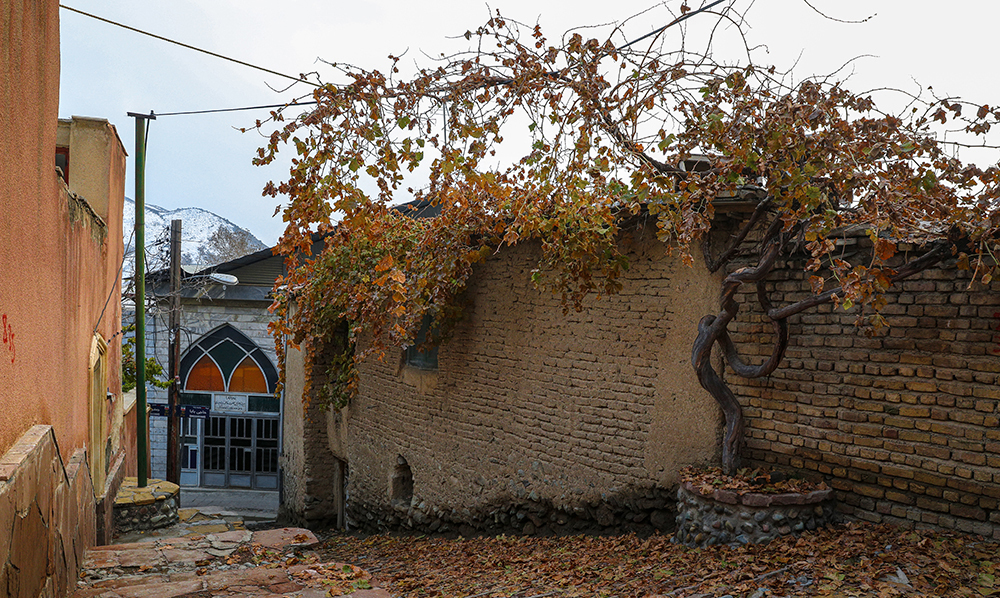 (تصاویر)