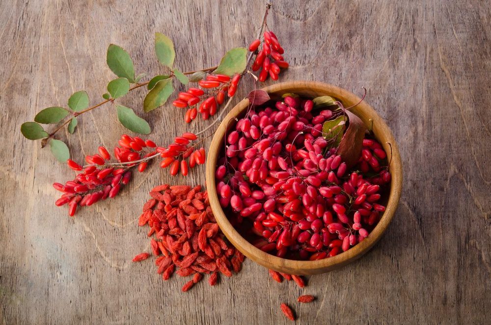 طرز تهیه مرغ شکم پر مجلسی و خوشمزه