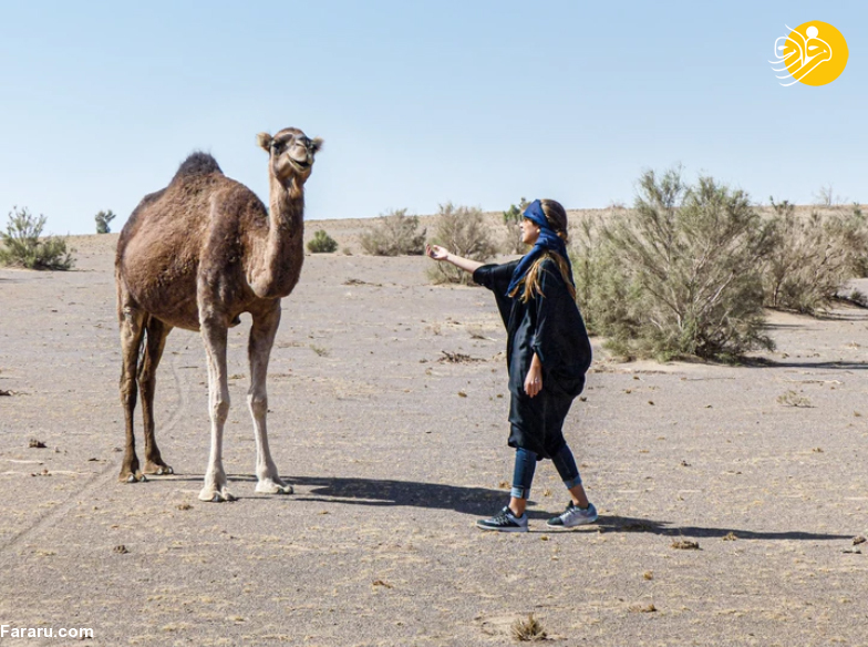 (تصاویر)