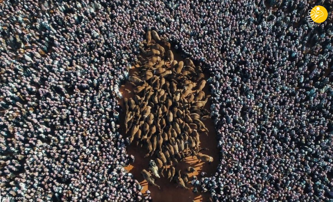 (تصاویر)