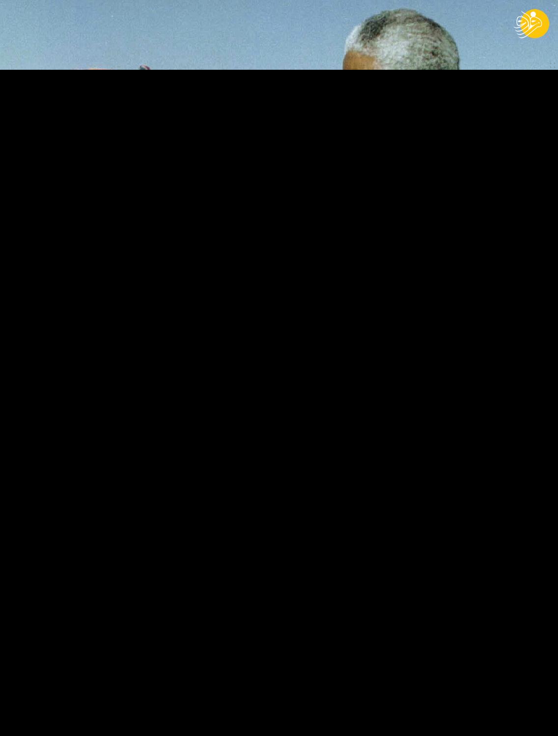 (تصاویر)