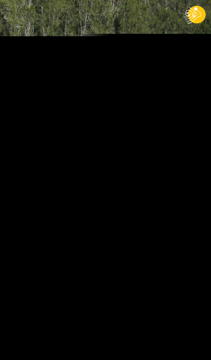 (تصاویر)