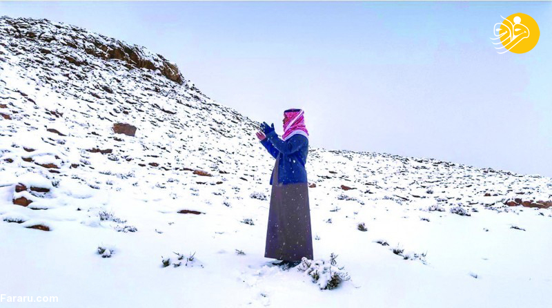 (تصاویر)
