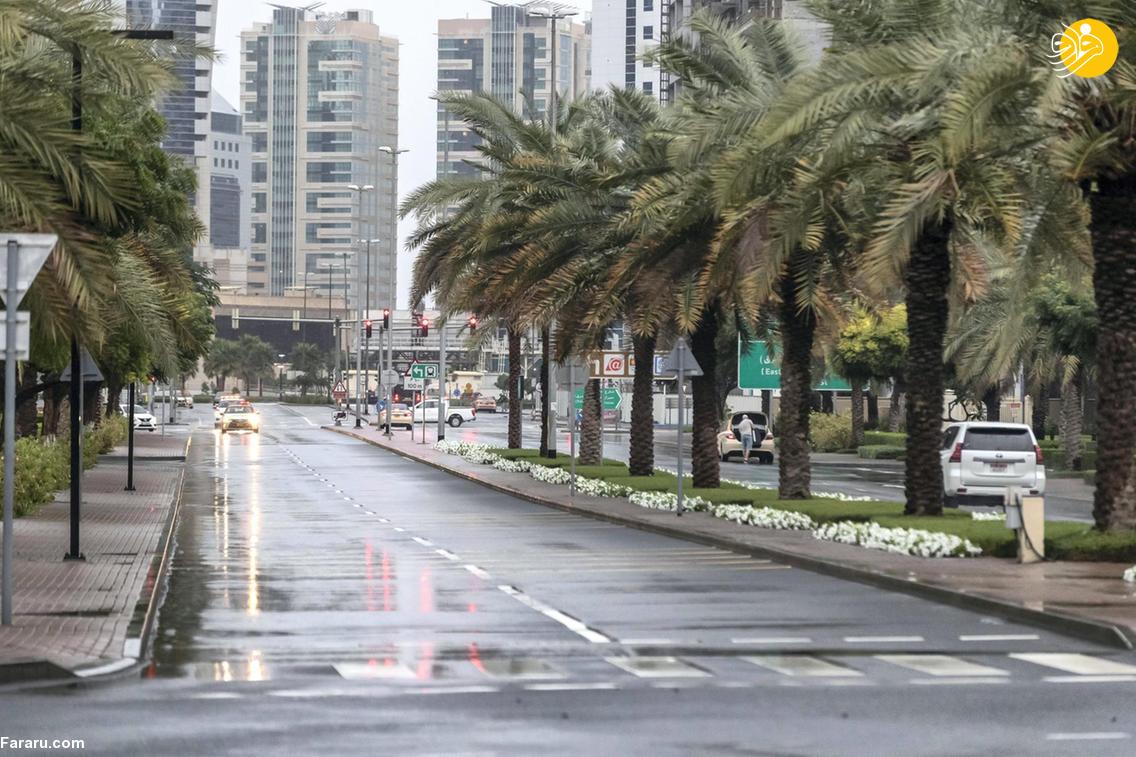 (تصاویر)