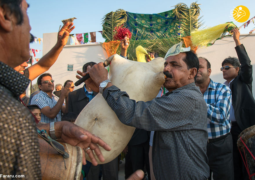 (تصاویر)