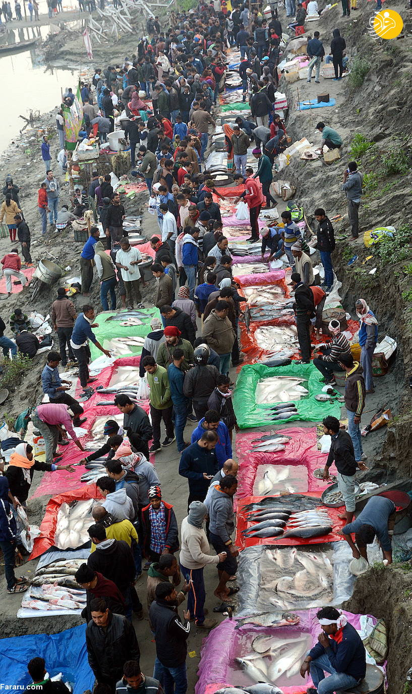 (تصاویر)