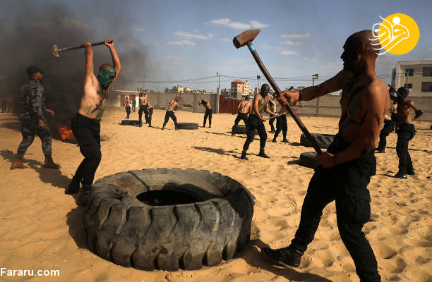 (تصاویر)