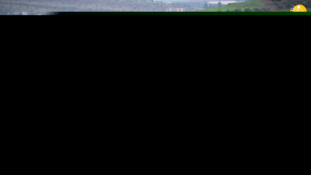 (تصاویر)