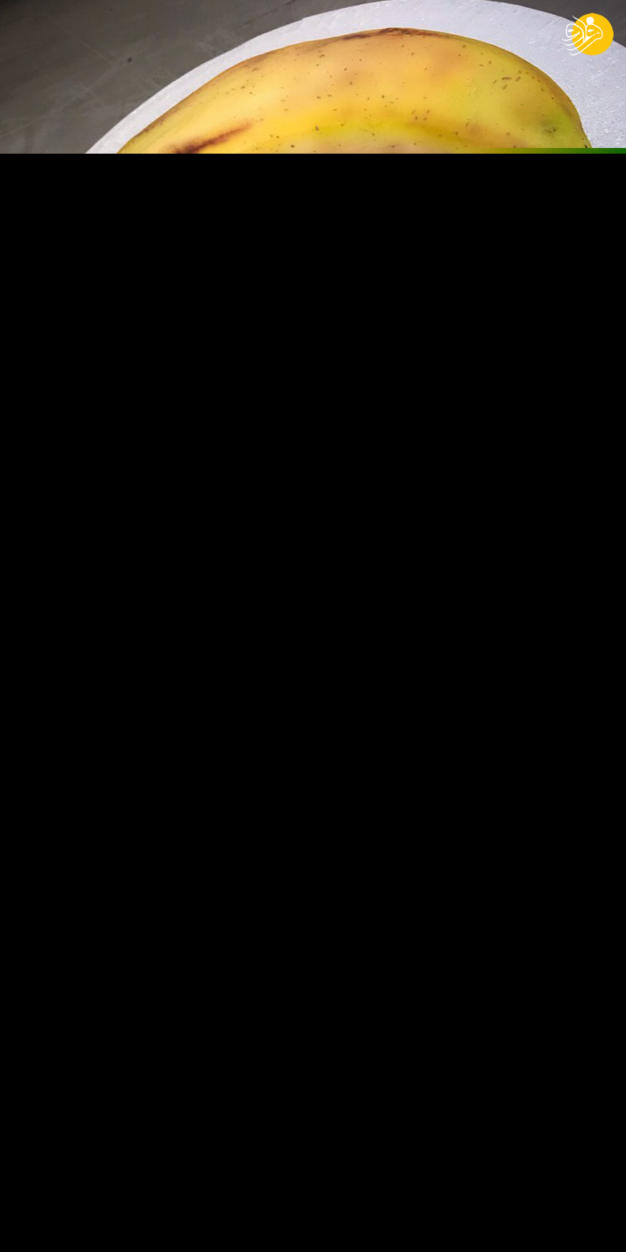 (تصاویر)