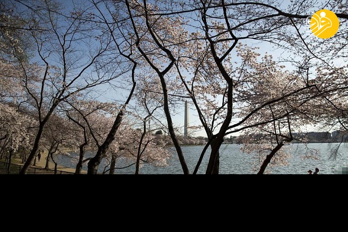 (تصاویر) کرونا و شهر‌هایی که هیچگاه اینگونه دیده نشده اند!