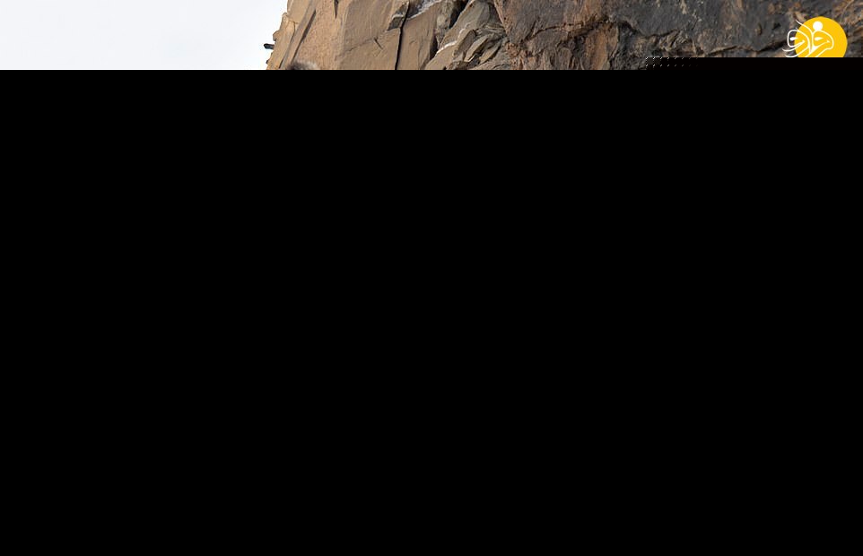 (تصاویر)