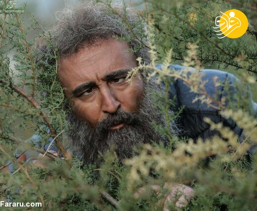 (تصاویر) بهبود فریبا با سندرم دست بی‌ قرار بازگشت؛ (تصاویر) بهبود فریبا با سندرم دست بی‌ قرار بازگشت