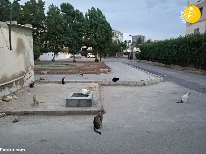 (تصاویر)
